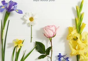 Birthday Flowers Meanings Best 25 Birth Flowers by Month Ideas On Pinterest Birth