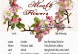 Birthday Flowers Meanings Birth Flowers and Meanings Sweet Ideas Pinterest