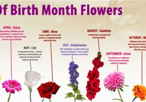 Birthday Flowers Meanings Birth Month Flowers Visual Ly