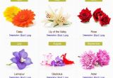 Birthday Flowers Meanings Birthday Flowers by Month Proflowers Blog