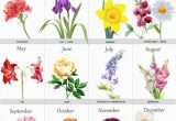 Birthday Flowers Of the Month 25 Best Ideas About Birth Flowers On Pinterest Month