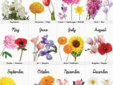 Birthday Flowers Of the Month Best 25 Birth Flower Tattoos Ideas On Pinterest Birth