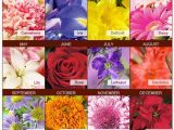 Birthday Flowers Of the Month Birth Flowers for Each Month Flowers to Give for Each