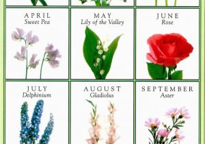 Birthday Flowers Of the Month Birth Flowers Greeting Card Horoscopes Birthstones
