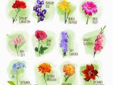 Birthday Flowers Of the Month Classmate On Twitter Quot Find Your Birth Month and Comment