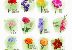 Birthday Flowers Of the Month Classmate On Twitter Quot Find Your Birth Month and Comment
