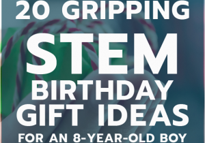 Birthday Gifts for 33 Year Old Male 20 Stem Birthday Gift Ideas for An 8 Year Old Boy Unique