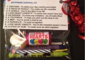 Birthday Gifts for Boyfriend 35 Boyfriend Survival Kit Valentines Gift for Him