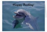 Birthday Gifts for Him Miami Smiling Dolphin Happy Birthday Card Zazzle