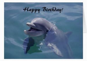 Birthday Gifts for Him Miami Smiling Dolphin Happy Birthday Card Zazzle