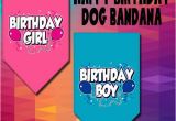 Birthday Girl Dog Bandana Dog Bandana Birthday Girl Birthday Boy