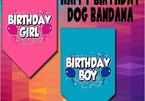 Birthday Girl Dog Bandana Dog Bandana Birthday Girl Birthday Boy