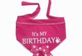 Birthday Girl Dog Bandana It 39 S My Birthday Dog Bandana Scarf Pink with Same Day