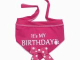 Birthday Girl Dog Bandana It 39 S My Birthday Dog Bandana Scarf Pink with Same Day