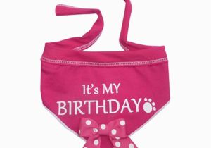 Birthday Girl Dog Bandana It 39 S My Birthday Dog Bandana Scarf Pink with Same Day