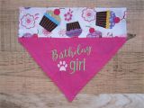 Birthday Girl Dog Bandana Reversible Birthday Girl Dog Bandana Over the Collar