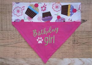 Birthday Girl Dog Bandana Reversible Birthday Girl Dog Bandana Over the Collar