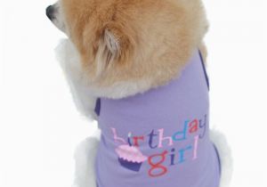 Birthday Girl Dog Clothes Popular orange Dog Vest Buy Cheap orange Dog Vest Lots