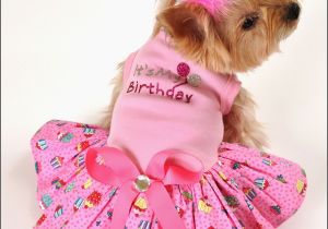 Birthday Girl Dog Clothes the total Cost Of Owning A Dog