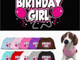 Birthday Girl Dog Shirt Dog Clothes Birthday Girl Screen Print T Shirt for Dogs