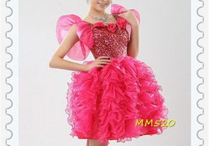 Birthday Girl Dresses for Adults Items Similar to Prom Dress Adult Tutu Prom Dress Teen