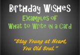 Birthday Greetings to Write In A Card Birthday Messages and Quotes to Write In A Card Holidappy