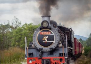 Birthday Ideas for Him Cape town Steam Train Trips Cape town Steam Train Rides south