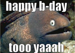 Birthday Meme Fishing Birthday Fish Puns