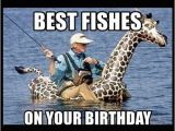 Birthday Meme Fishing Giraffe Birthday Memes Wishesgreeting