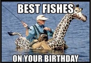 Birthday Meme Fishing Giraffe Birthday Memes Wishesgreeting