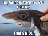 Birthday Meme Fishing top 20 Fishing Memes On the Internet