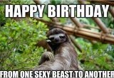 Birthday Meme for Best Friend 20 Birthday Memes for Your Best Friend Sayingimages Com