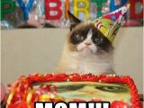 Birthday Meme for Moms 20 Memorable Happy Birthday Mom Memes Sayingimages Com