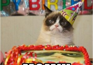 Birthday Meme for Moms 20 Memorable Happy Birthday Mom Memes Sayingimages Com