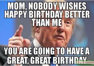 Birthday Meme for Moms Best 25 Happy Birthday Mom Meme Ideas On Pinterest