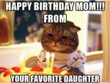 Birthday Meme for Moms Happy Birthday Mom Memes Wishesgreeting