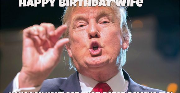 Birthday Meme for Wife Happy Birthday Wishes for Wife Quotes Images and Wishes