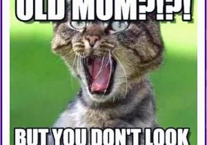 Birthday Meme Mum Funny Birthday Memes for Dad Mom Brother or Sister