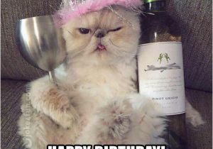 Birthday Meme with Cats 20 Cat Birthday Memes that are Way too Adorable