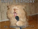 Birthday Meme with Cats 20 Cat Birthday Memes that are Way too Adorable