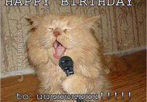 Birthday Meme with Cats 20 Cat Birthday Memes that are Way too Adorable