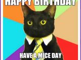 Birthday Meme with Cats Happy Birthday Memes with Funny Cats Dogs and Cute