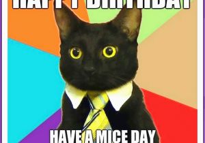 Birthday Meme with Cats Happy Birthday Memes with Funny Cats Dogs and Cute