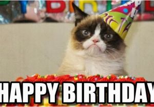 Birthday Meme with Cats Incredible Happy Birthday Memes for You top Collections