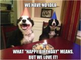 Birthday Meme with Dogs Happy Birthday Memes Dog Wishesgreeting