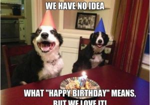 Birthday Meme with Dogs Happy Birthday Memes Dog Wishesgreeting