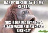 Birthday Memes for Brother From Sister 20 Hilarious Birthday Memes for Your Sister Sayingimages Com