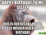 Birthday Memes for Brother From Sister 20 Hilarious Birthday Memes for Your Sister Sayingimages Com