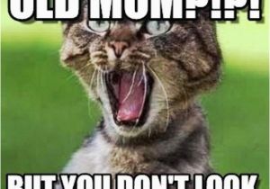 Birthday Memes for Mom Happy Birthday Mom Meme Quotes and Funny Images for Mother