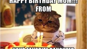 Birthday Memes for Mom Happy Birthday Mom Memes Wishesgreeting